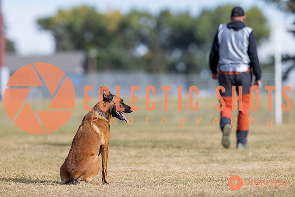 2025K9ForceCup-3676