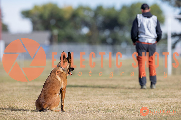 2025K9ForceCup-3683