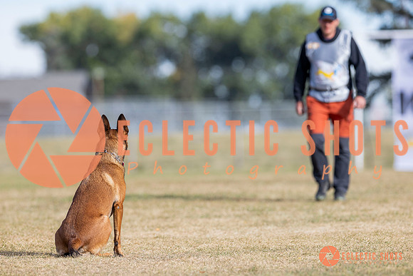 2025K9ForceCup-3687
