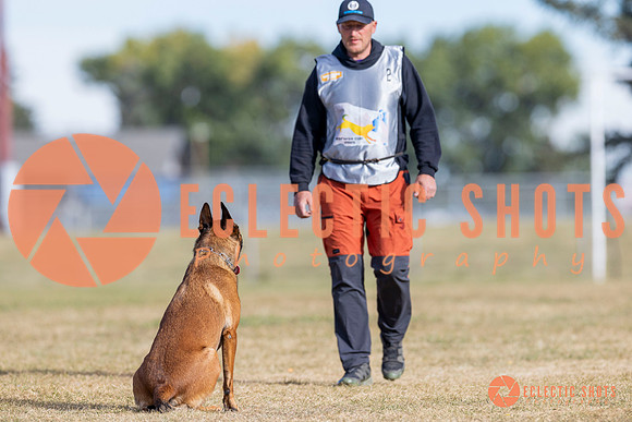 2025K9ForceCup-3698