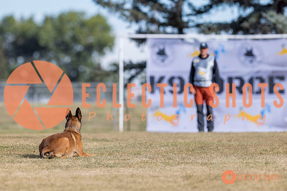 2025K9ForceCup-3722
