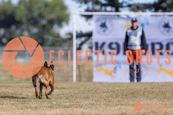 2025K9ForceCup-3723
