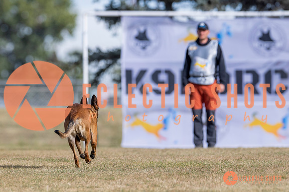 2025K9ForceCup-3730