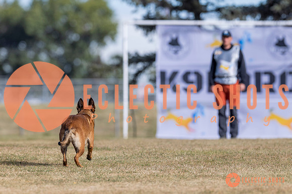 2025K9ForceCup-3725