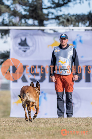 2025K9ForceCup-3736