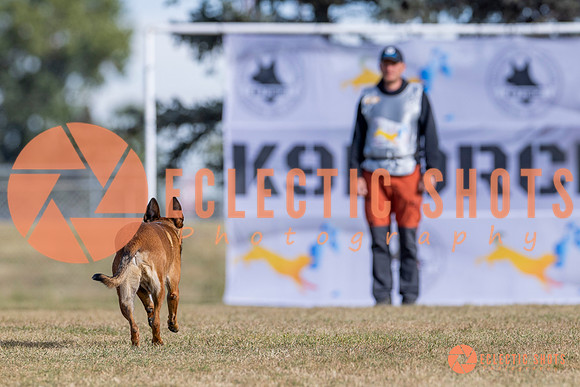 2025K9ForceCup-3731
