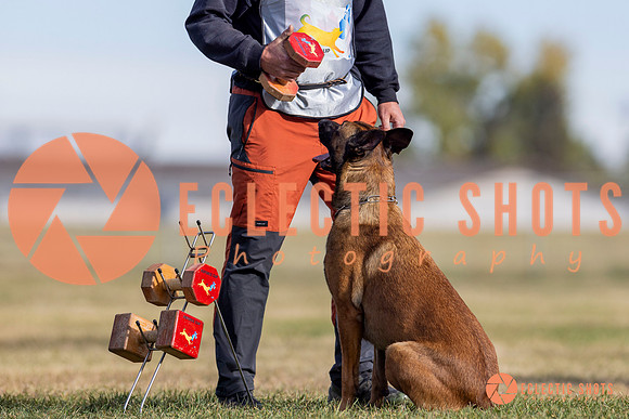 2025K9ForceCup-3787