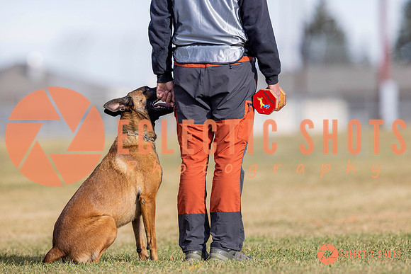 2025K9ForceCup-3791