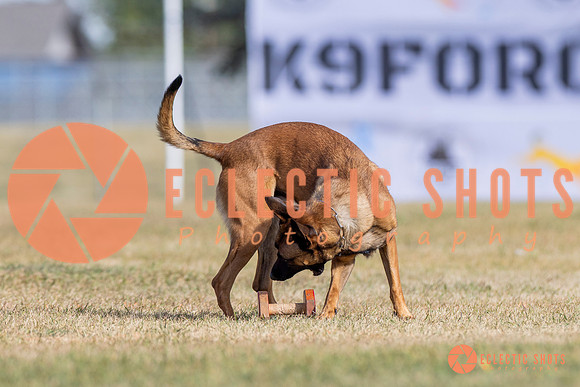 2025K9ForceCup-3808