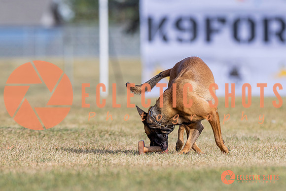 2025K9ForceCup-3814