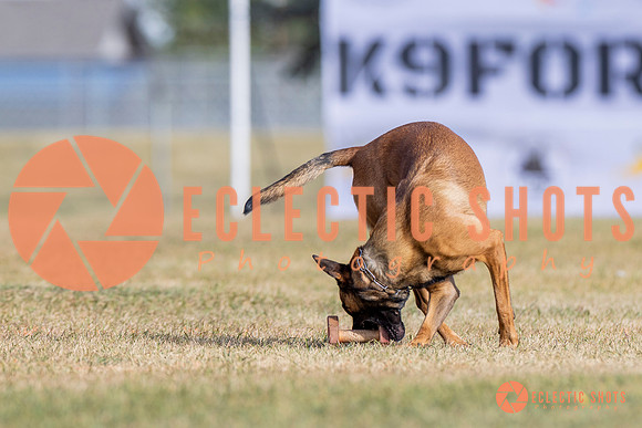 2025K9ForceCup-3812