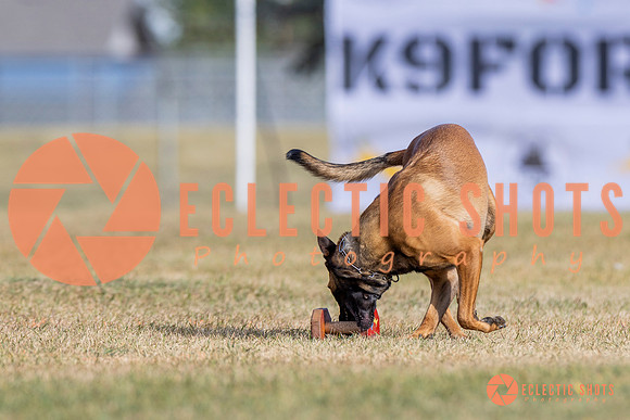 2025K9ForceCup-3815