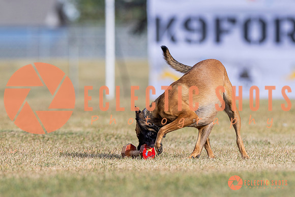 2025K9ForceCup-3817