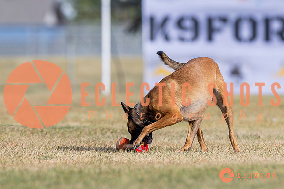 2025K9ForceCup-3818