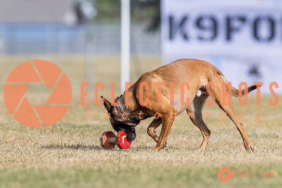 2025K9ForceCup-3820