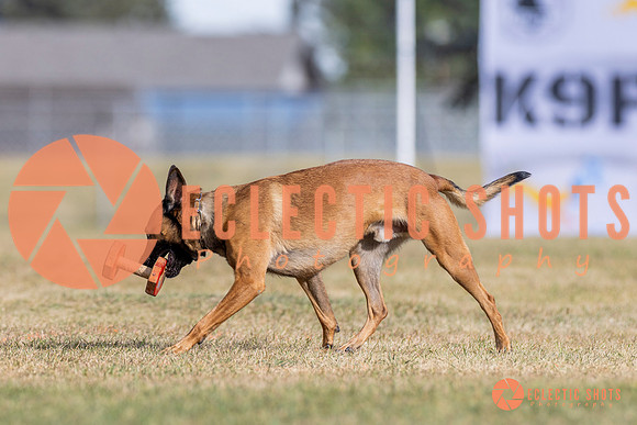 2025K9ForceCup-3824