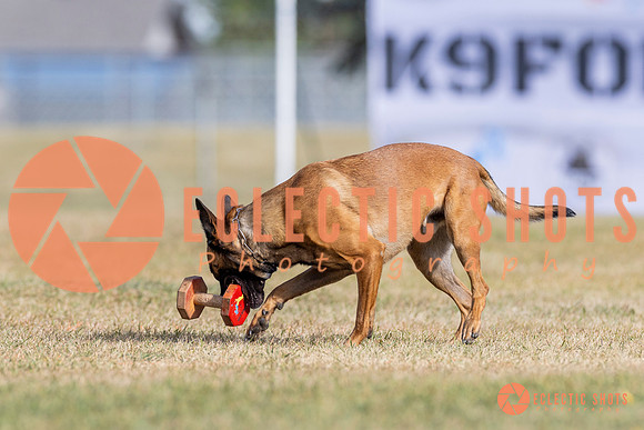 2025K9ForceCup-3822
