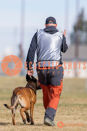 2025K9ForceCup-3857