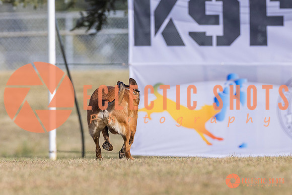 2025K9ForceCup-3862
