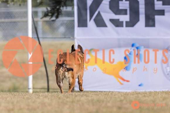 2025K9ForceCup-3863