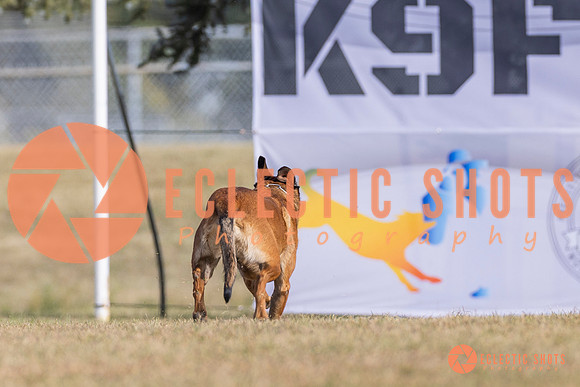 2025K9ForceCup-3864