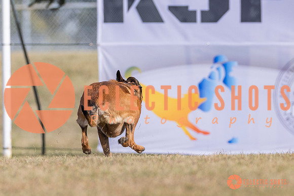 2025K9ForceCup-3866