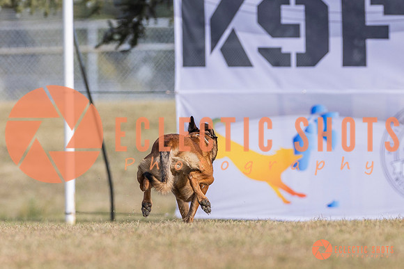 2025K9ForceCup-3865