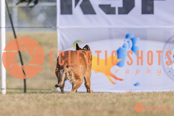 2025K9ForceCup-3868
