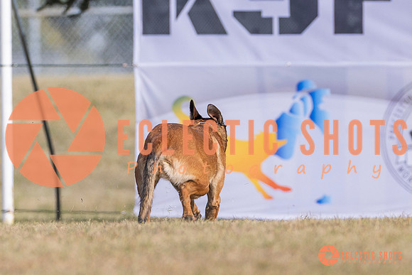 2025K9ForceCup-3869