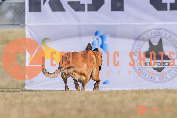 2025K9ForceCup-3877