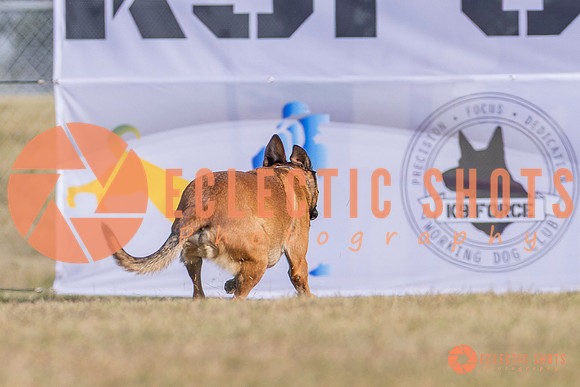 2025K9ForceCup-3878