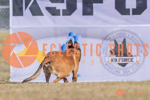 2025K9ForceCup-3879