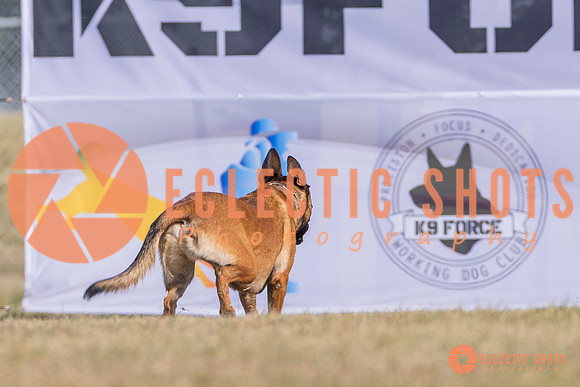 2025K9ForceCup-3880