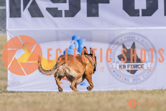 2025K9ForceCup-3882