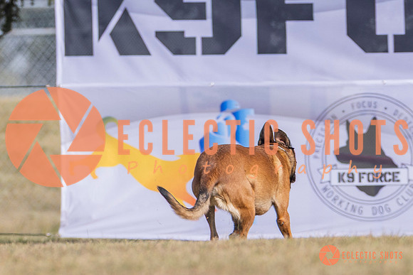 2025K9ForceCup-3884
