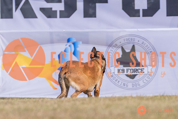 2025K9ForceCup-3886