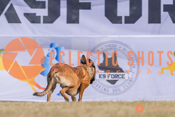 2025K9ForceCup-3888