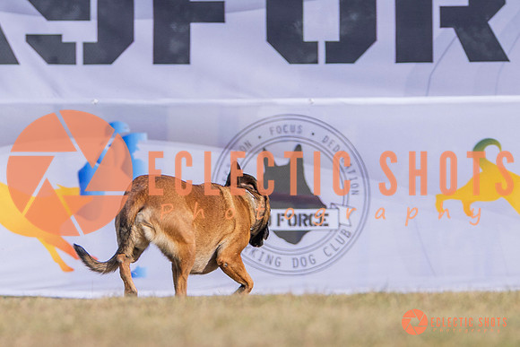 2025K9ForceCup-3890