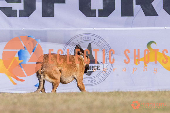 2025K9ForceCup-3892