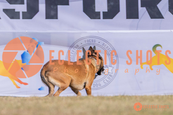 2025K9ForceCup-3894