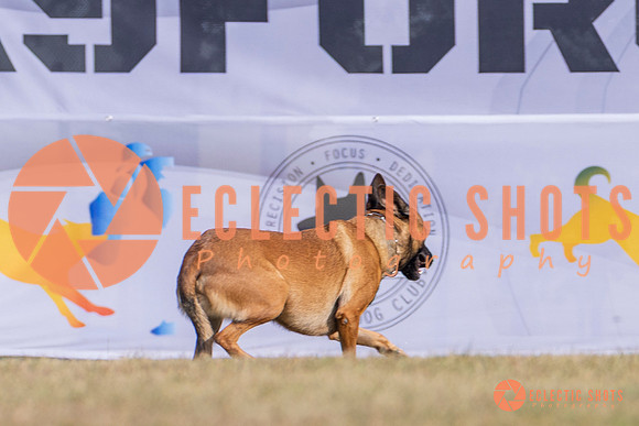 2025K9ForceCup-3896