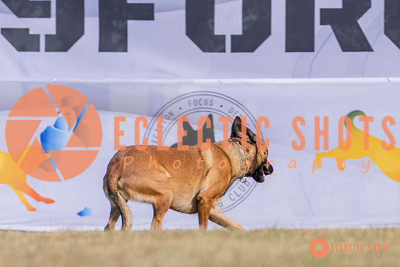 2025K9ForceCup-3898