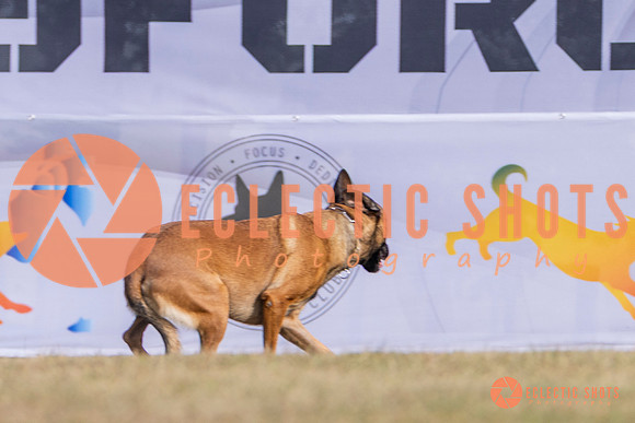 2025K9ForceCup-3900