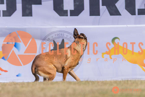 2025K9ForceCup-3906