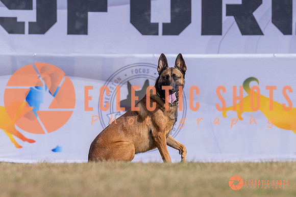 2025K9ForceCup-3920
