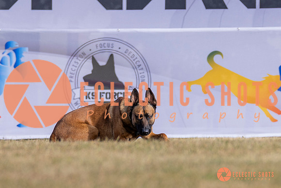 2025K9ForceCup-3921