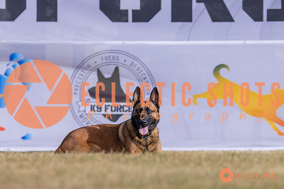 2025K9ForceCup-3925