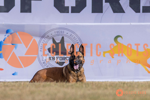 2025K9ForceCup-3929