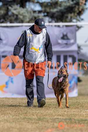 2025K9ForceCup-3943
