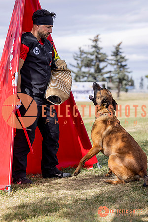 2025K9ForceCup-5447